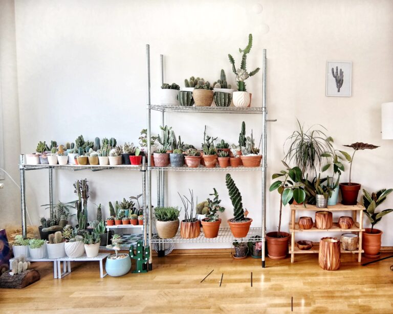 How To Make Money Selling Houseplants From Home